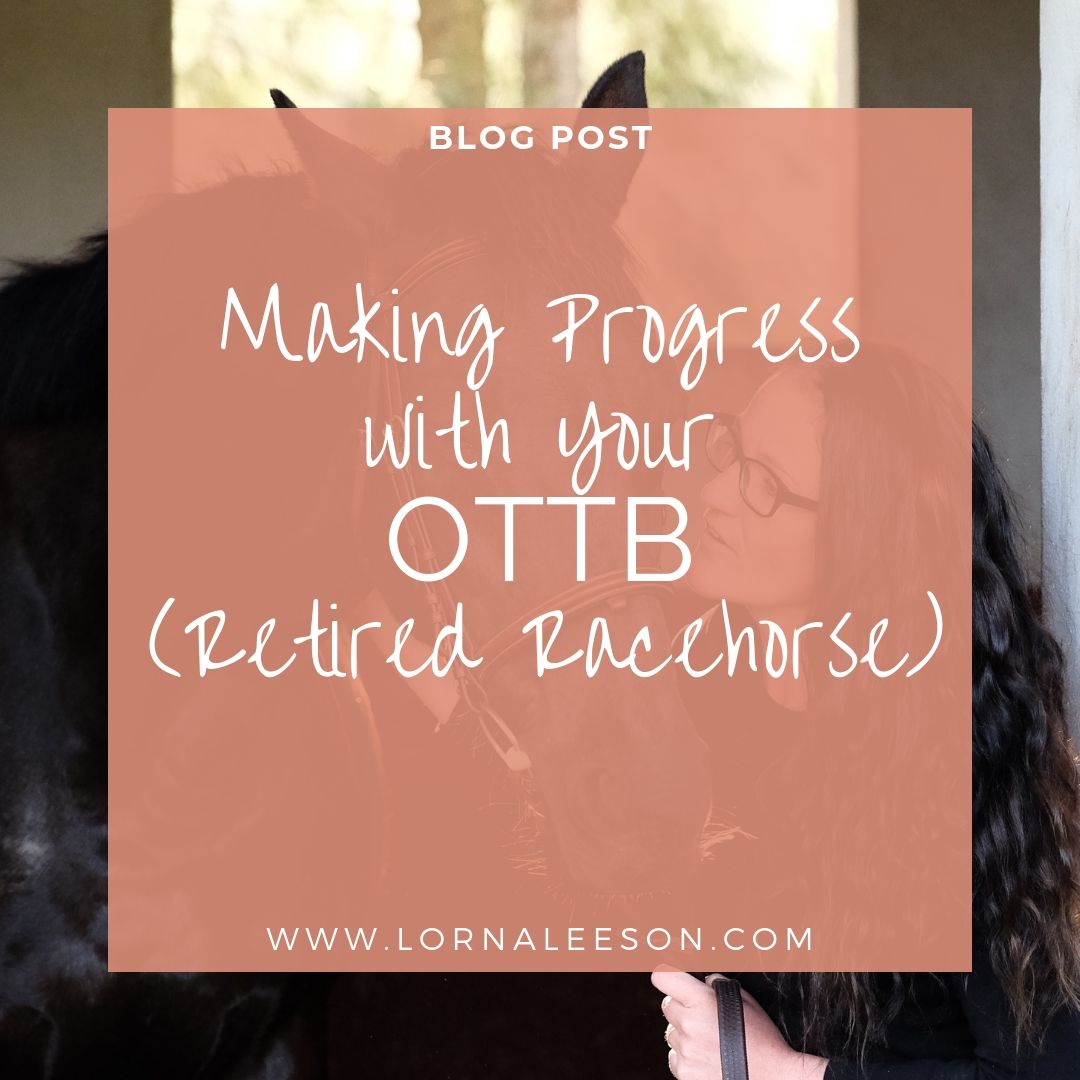 Making Progress with Your OTTB (Retired Racehorse)